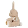 Activity Cuddle Rabbit - Sand - Baby Bunny