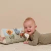 Activity triangle Little Farm