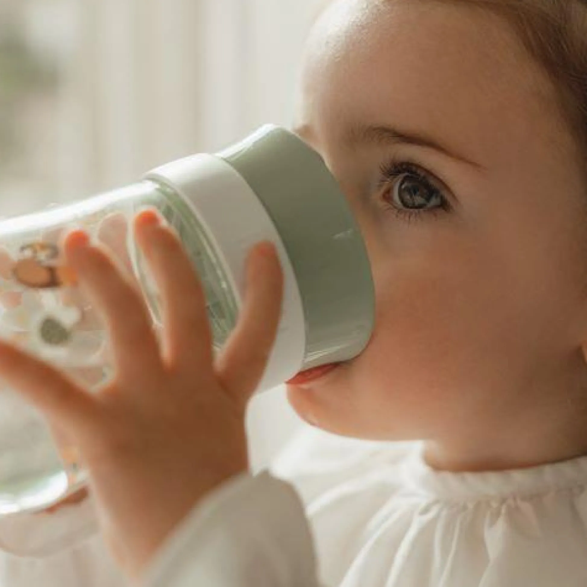 Anti-leak cup - Green - Little Farm