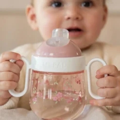 Antileak Spout Cup 200 ml Fairy Garden