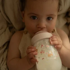 Baby bottle 240 ml Fairy Garden