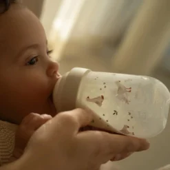 Baby bottle 240 ml Little Goose