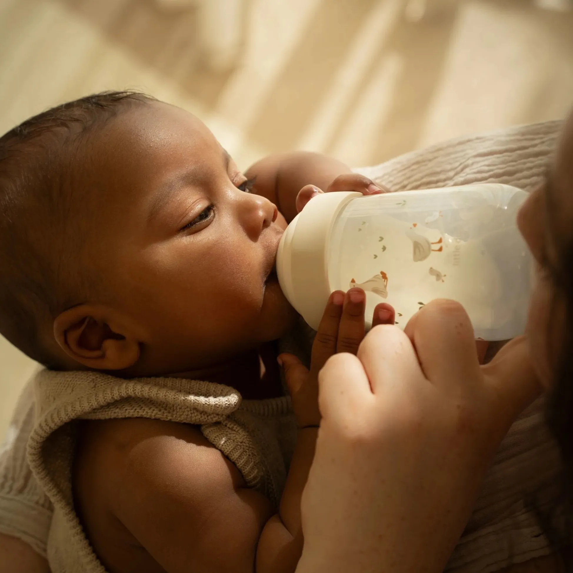 Baby bottle 240 ml Little Goose