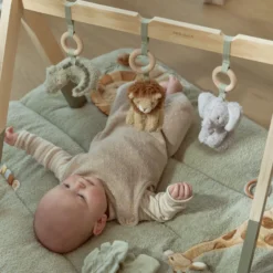 Baby gym