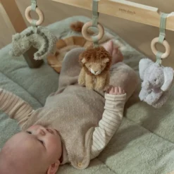 Baby gym
