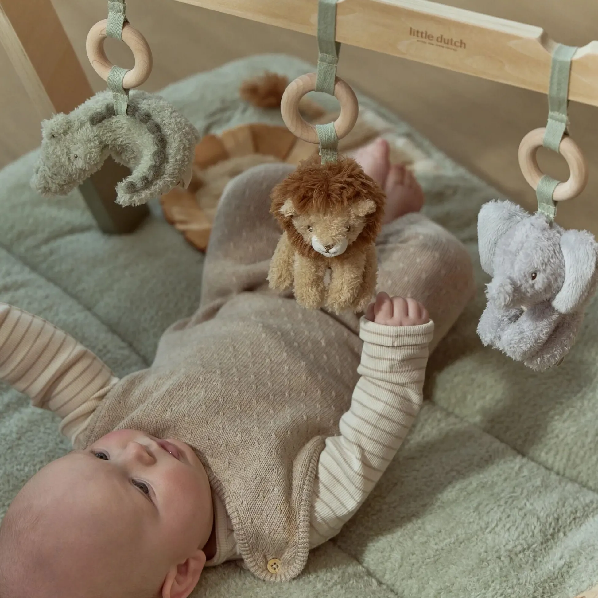 Baby gym