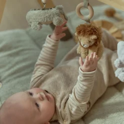 Baby gym