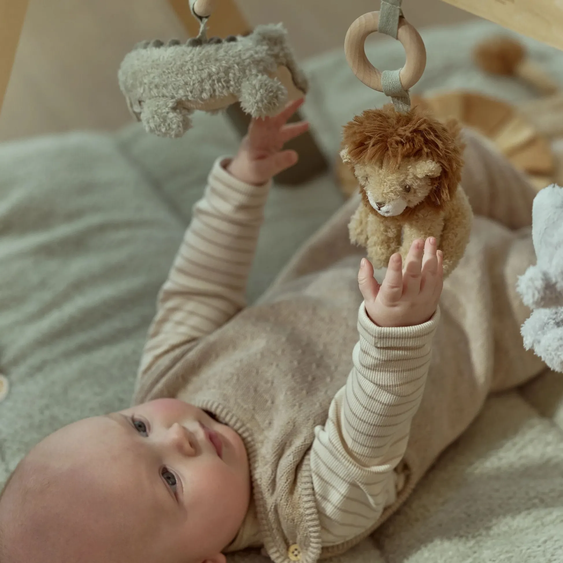 Baby gym