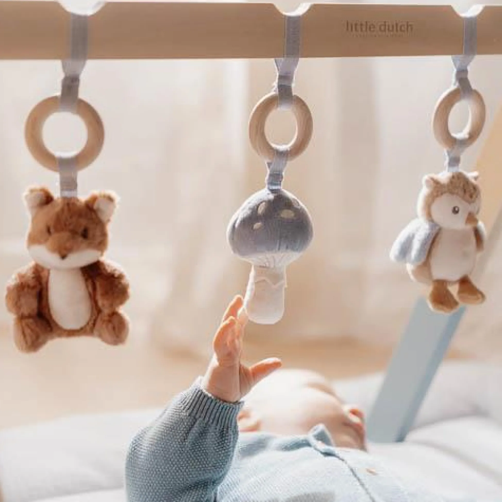 Babygym - Blue - Forest Friends