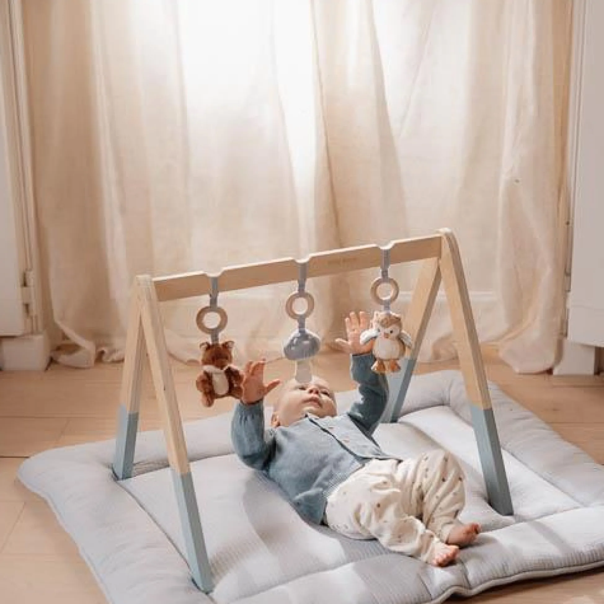 Babygym - Blue - Forest Friends