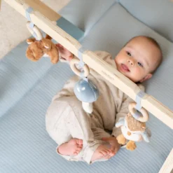 Babygym - Blue - Forest Friends