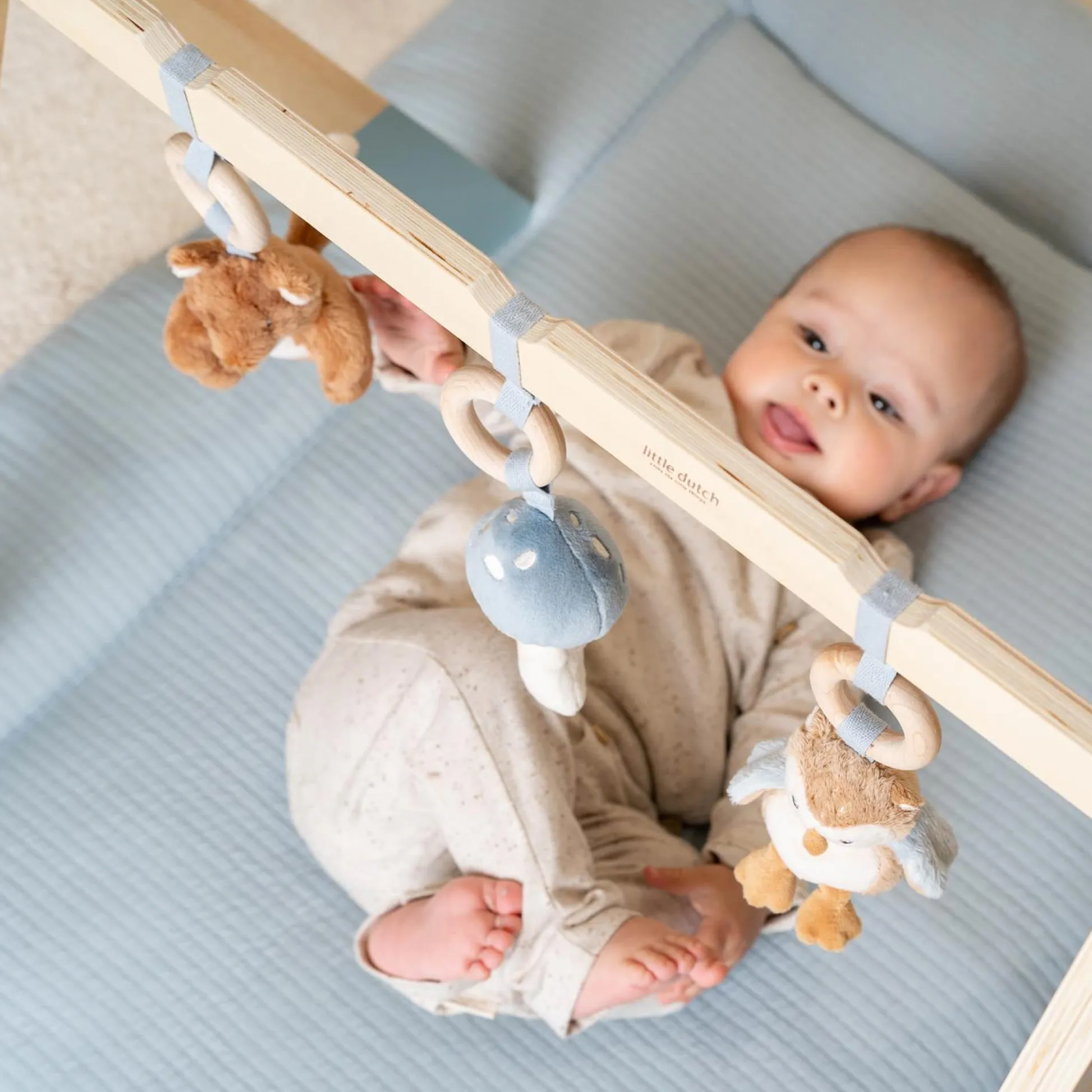 Babygym - Blue - Forest Friends