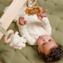 Baby gym Little Farm