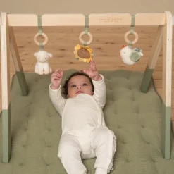 Baby gym Little Farm