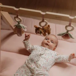 Babygym - Pink - Fairy Garden