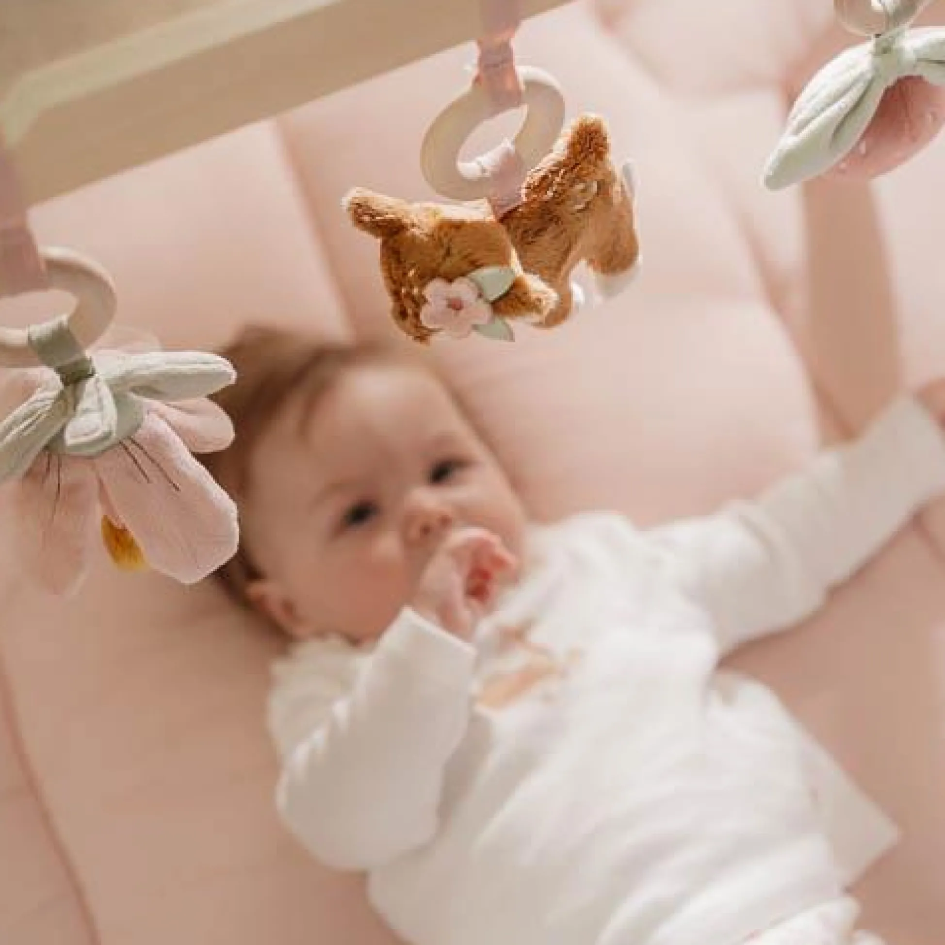 Babygym - Pink - Fairy Garden