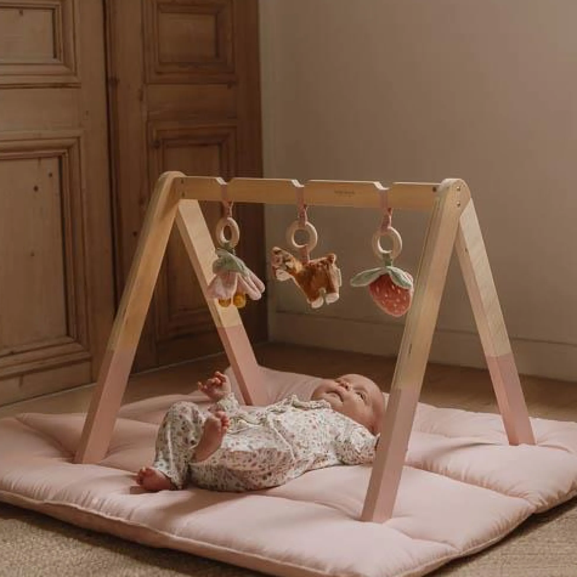 Babygym - Pink - Fairy Garden