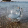 Beach Ball - 3D Whale - Ocean World