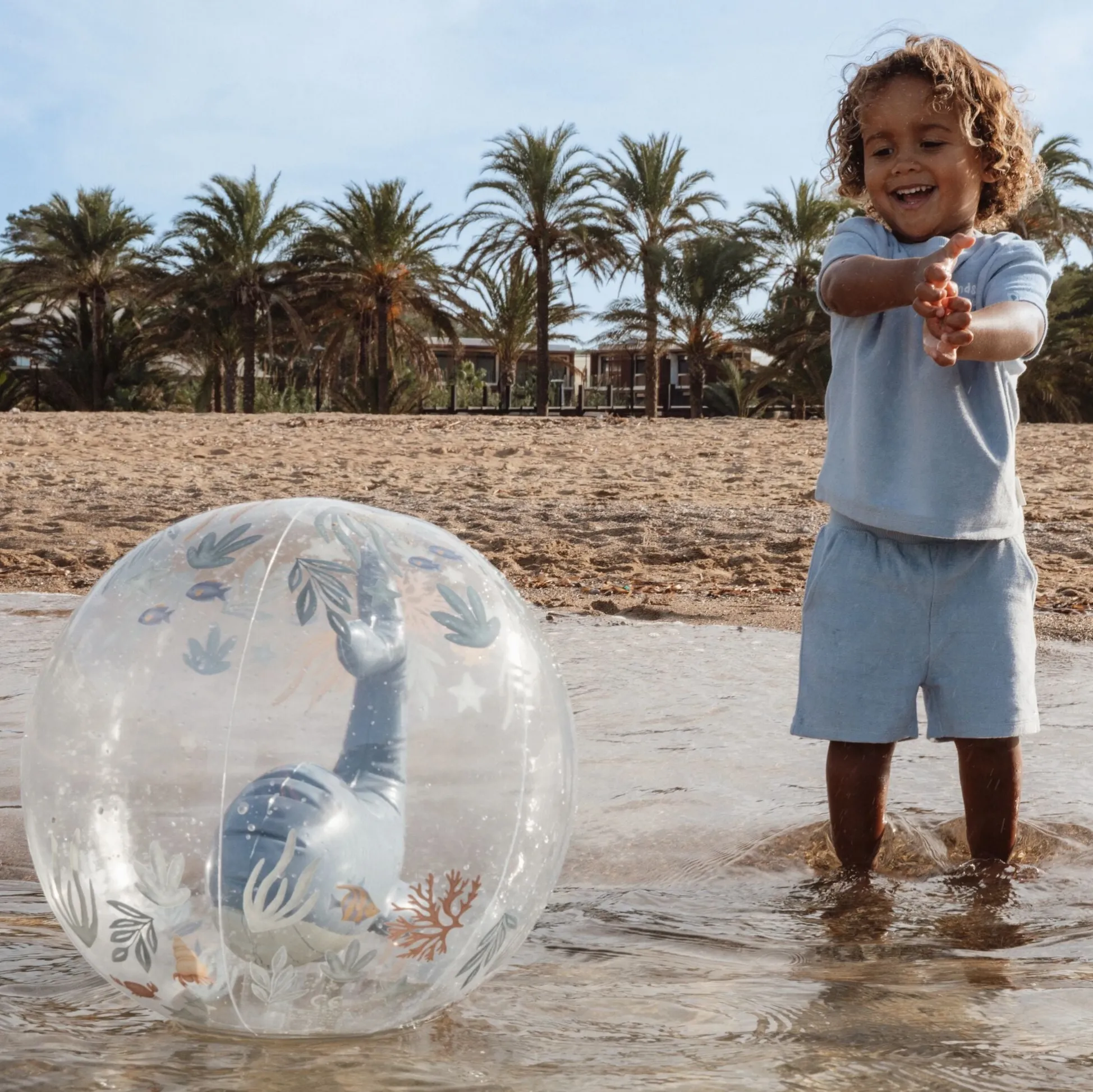 Beach Ball - 3D Whale - Ocean World
