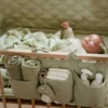 Box organizer - Green - Essentials