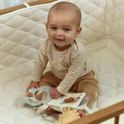 Buggy book