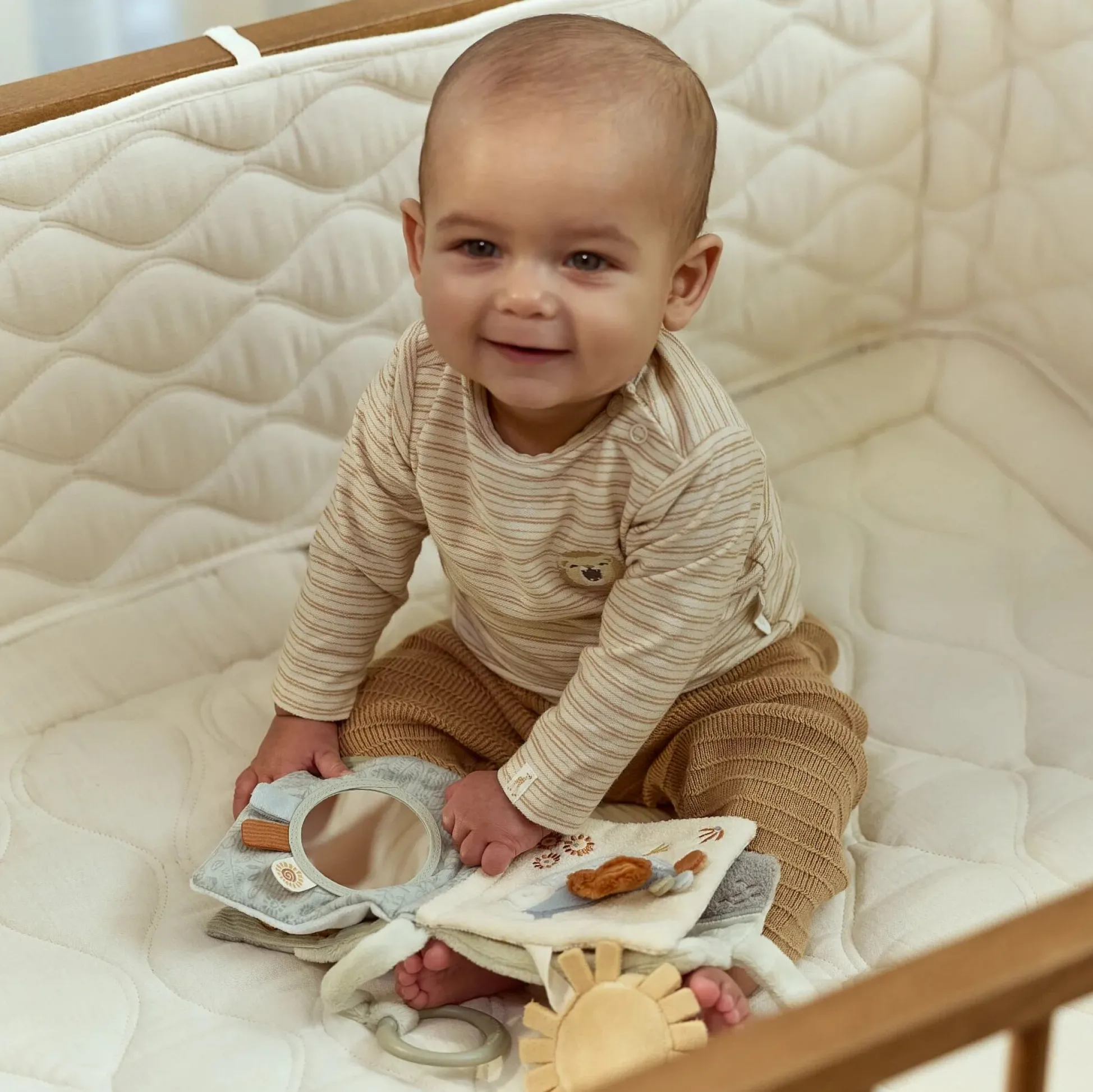 Buggy book