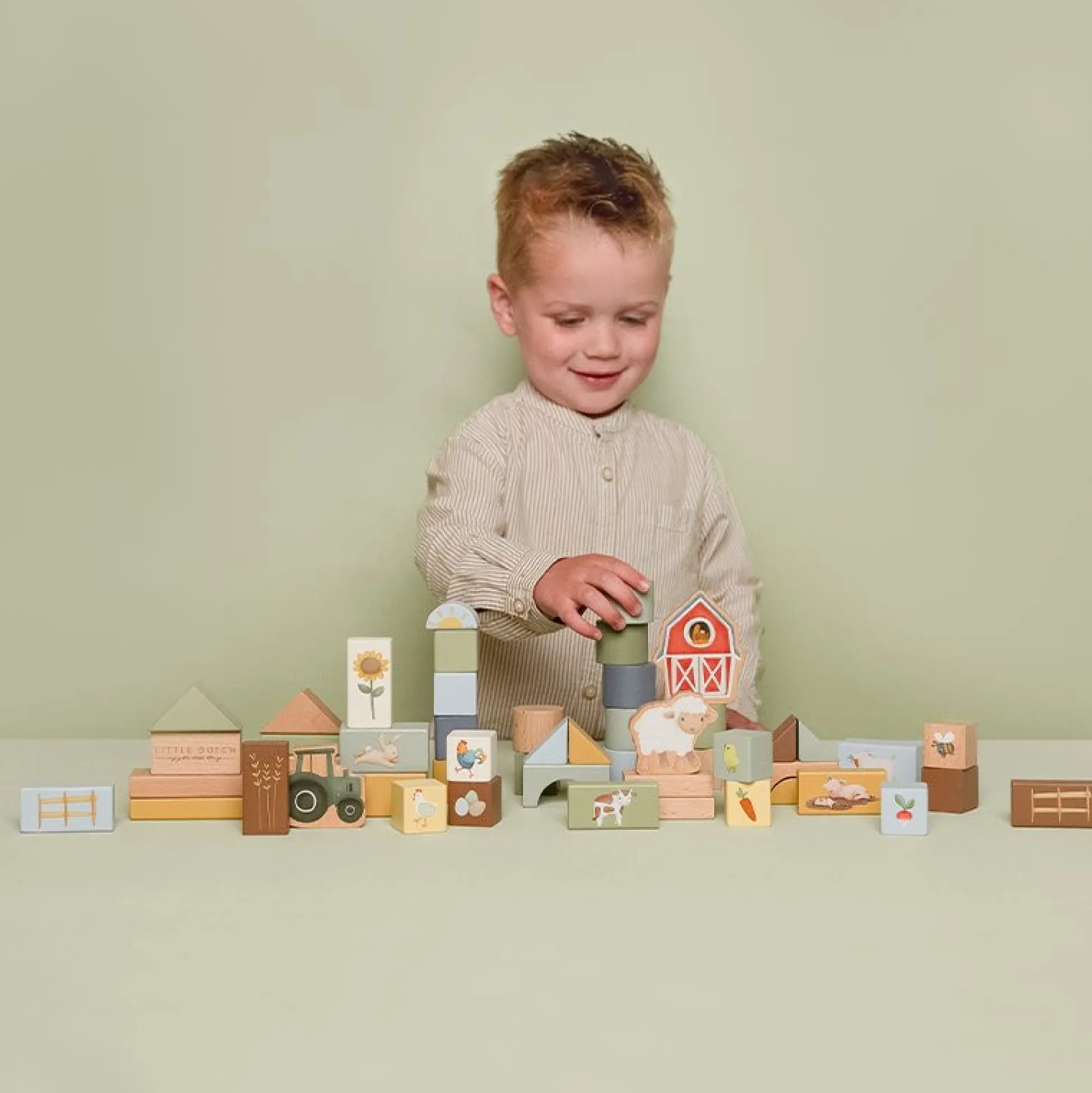 Building blocks Little Farm
