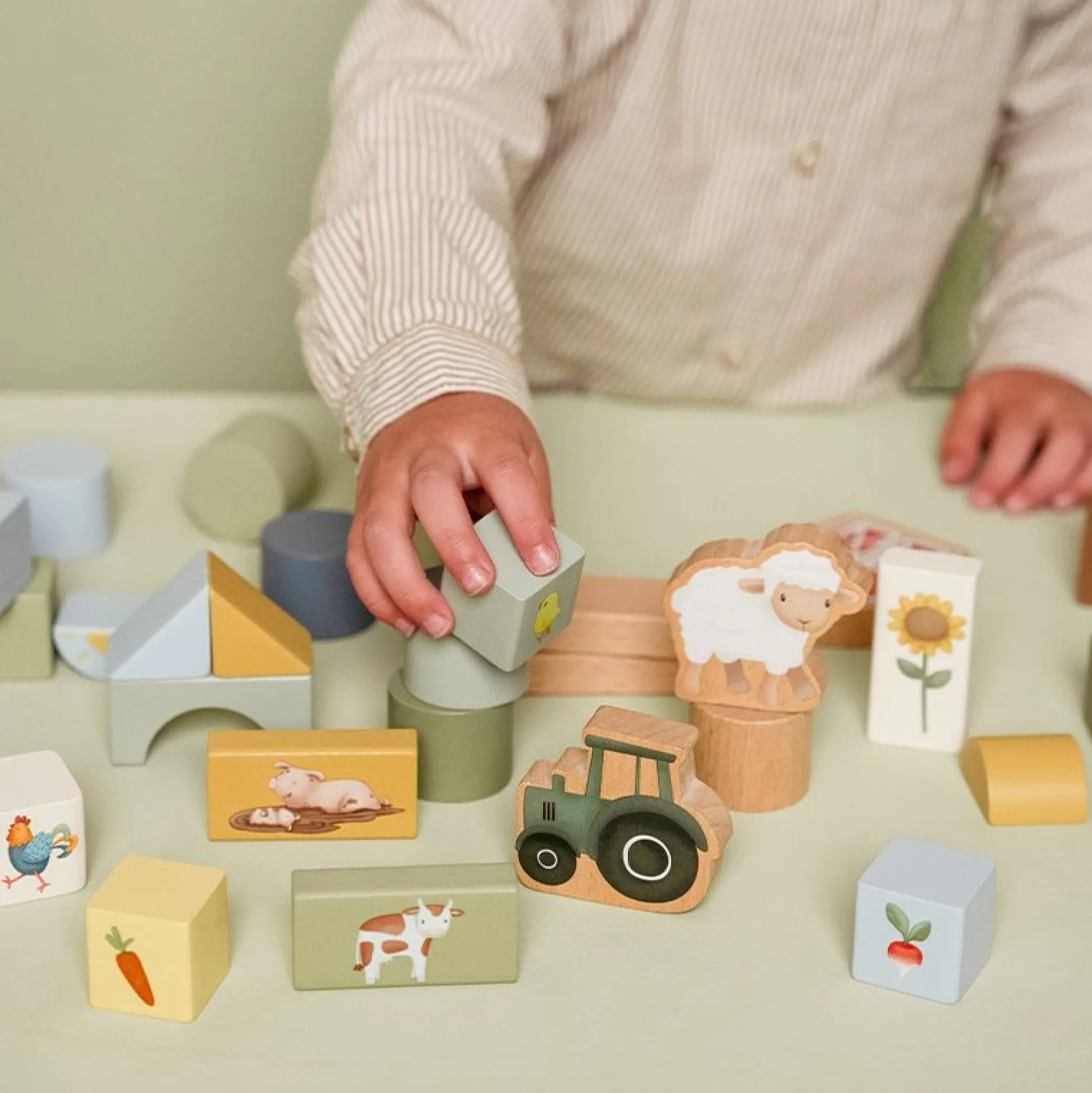 Building blocks Little Farm