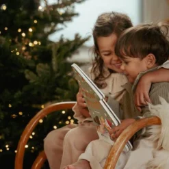 Christmas Book: Almost Christmas!