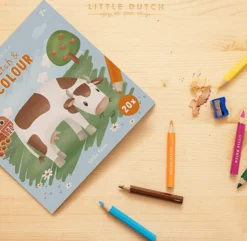 Coloring book Little Farm