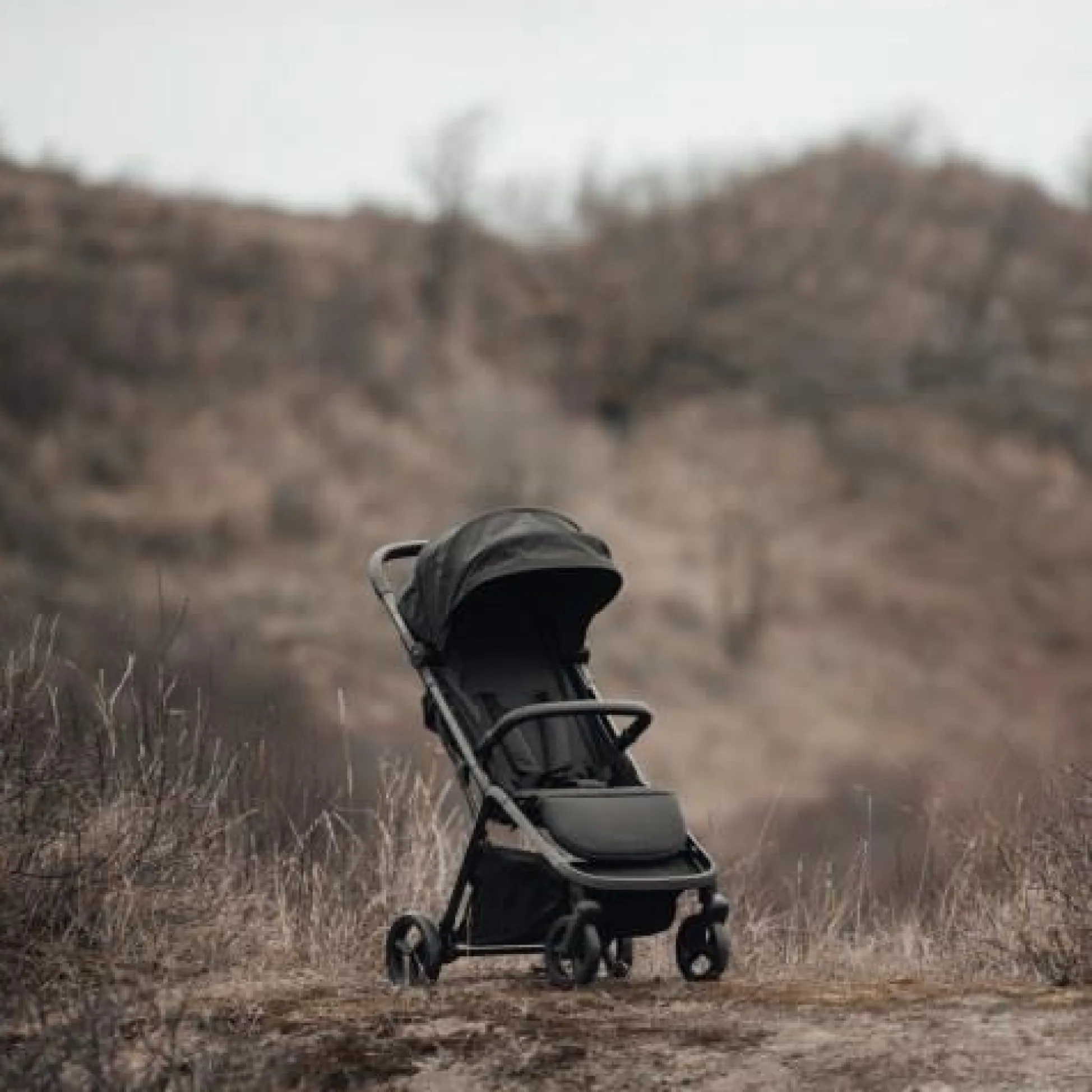 Compact buggy - Gray - Essentials