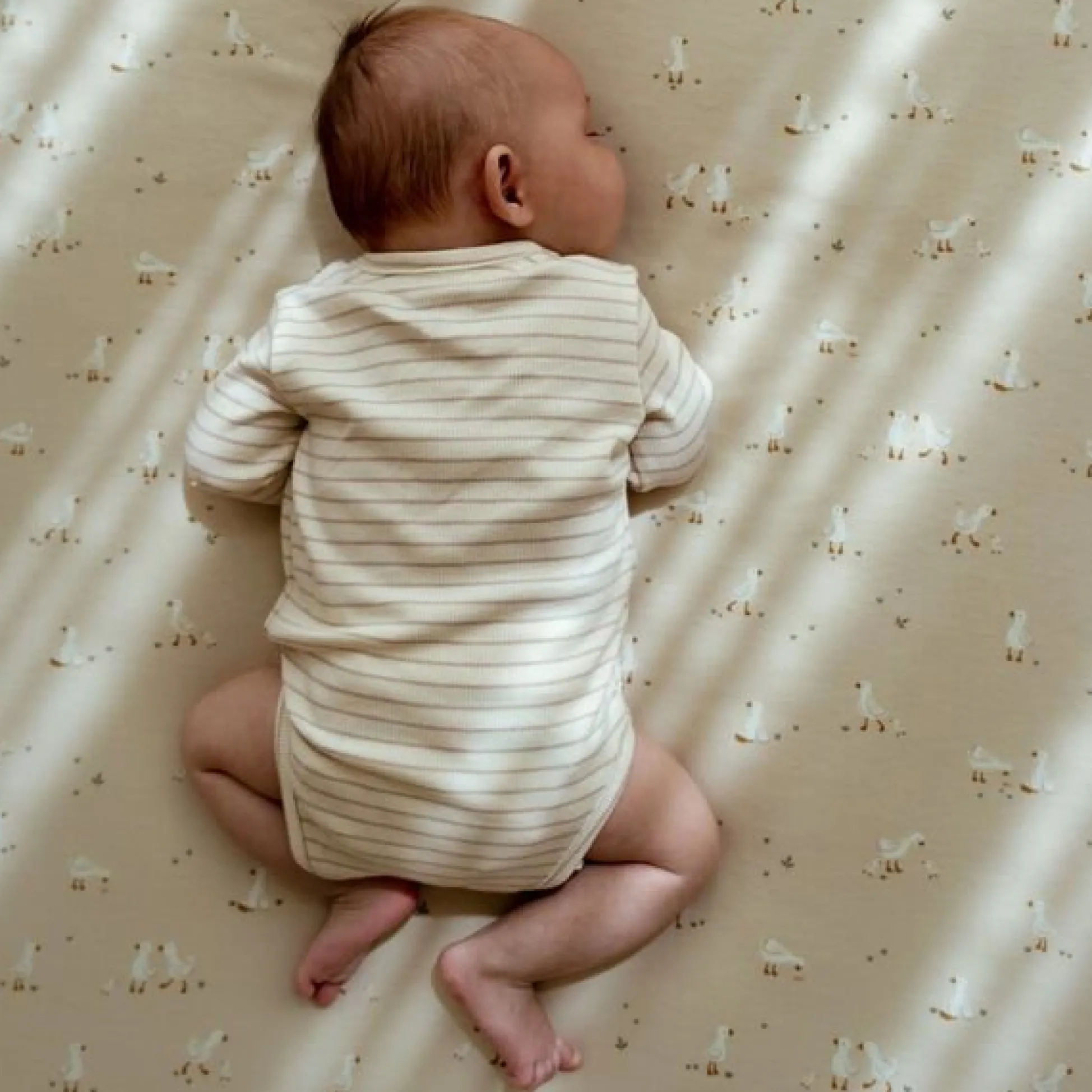 Cradle blanket - Beige - Newborn Naturals - Little Goose