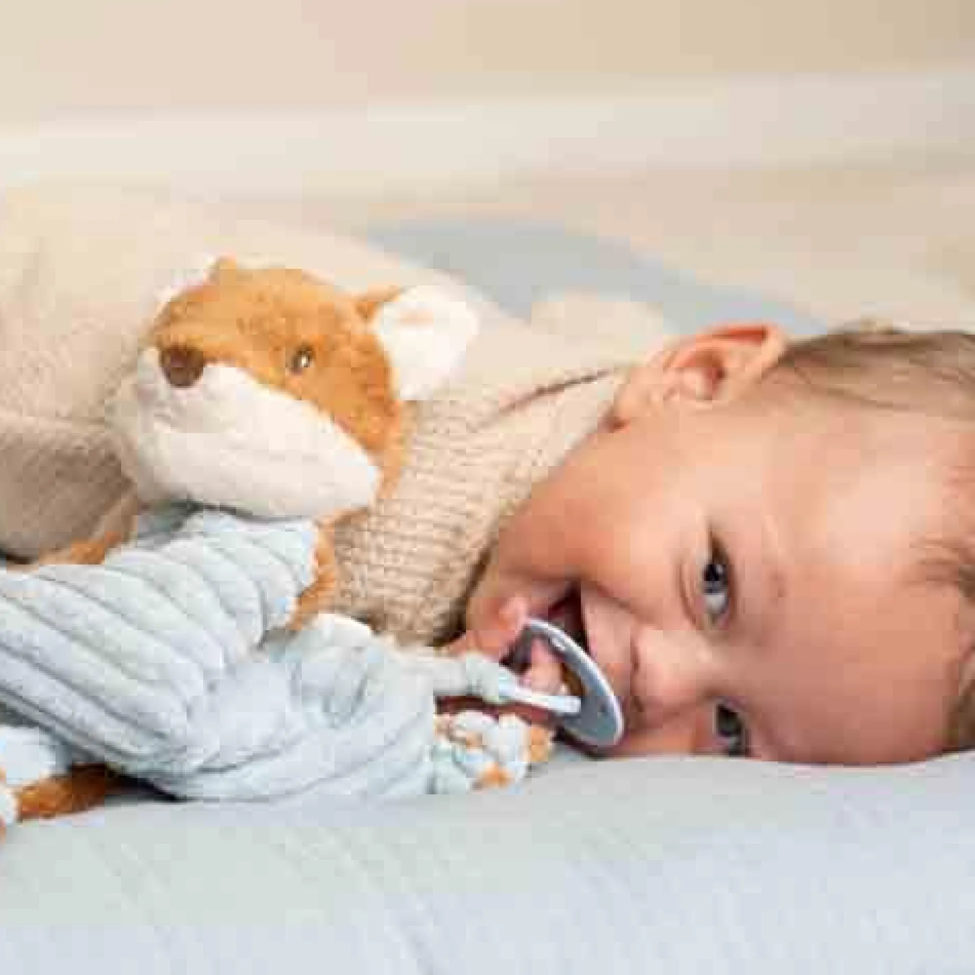 Cuddle cloth cuddle Fox - Forest Friends - Blue - Forest Friends