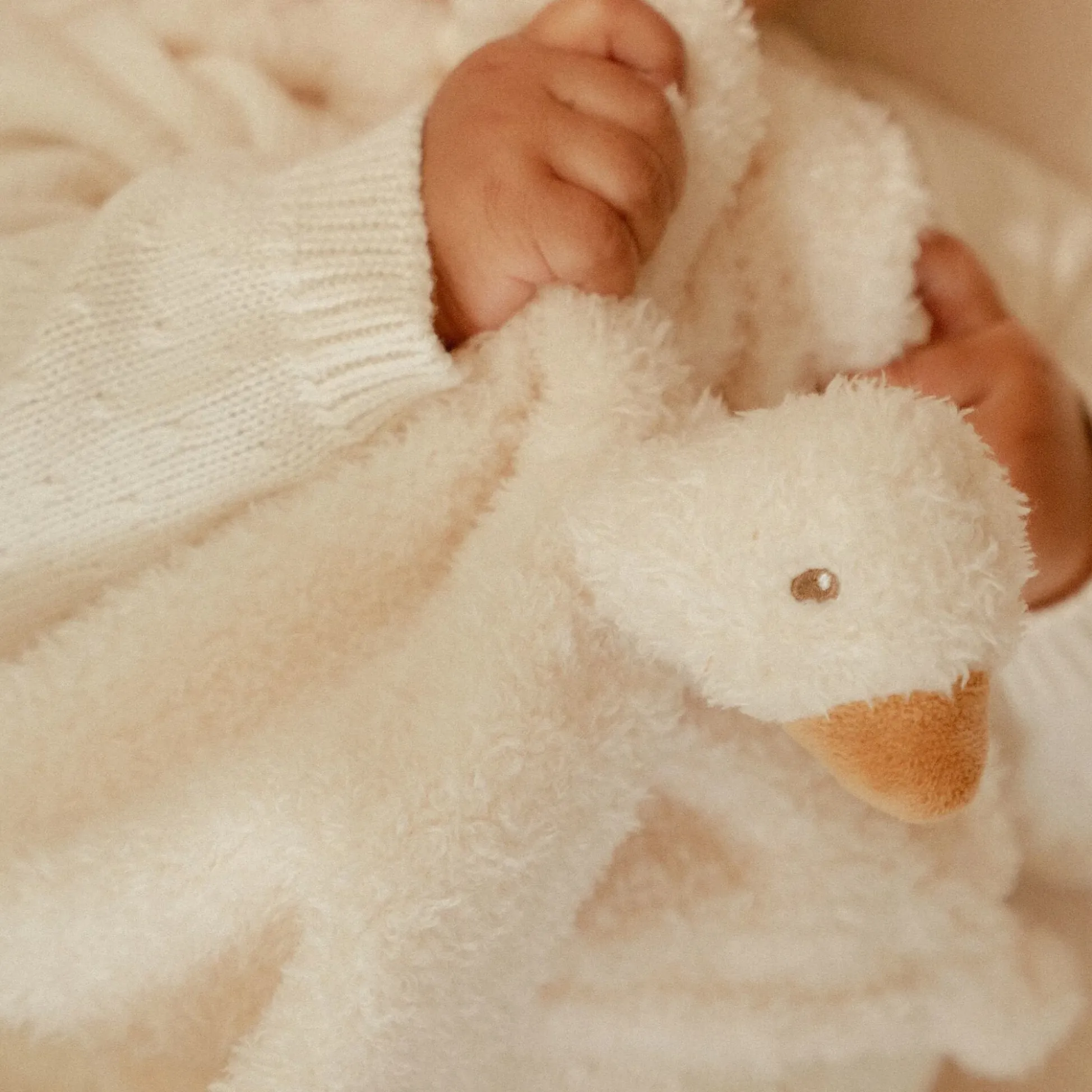 Cuddle cloth - White - Little Goose
