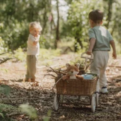 Forest Friends - Blue - Forest Friends