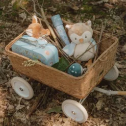 Forest Friends - Blue - Forest Friends