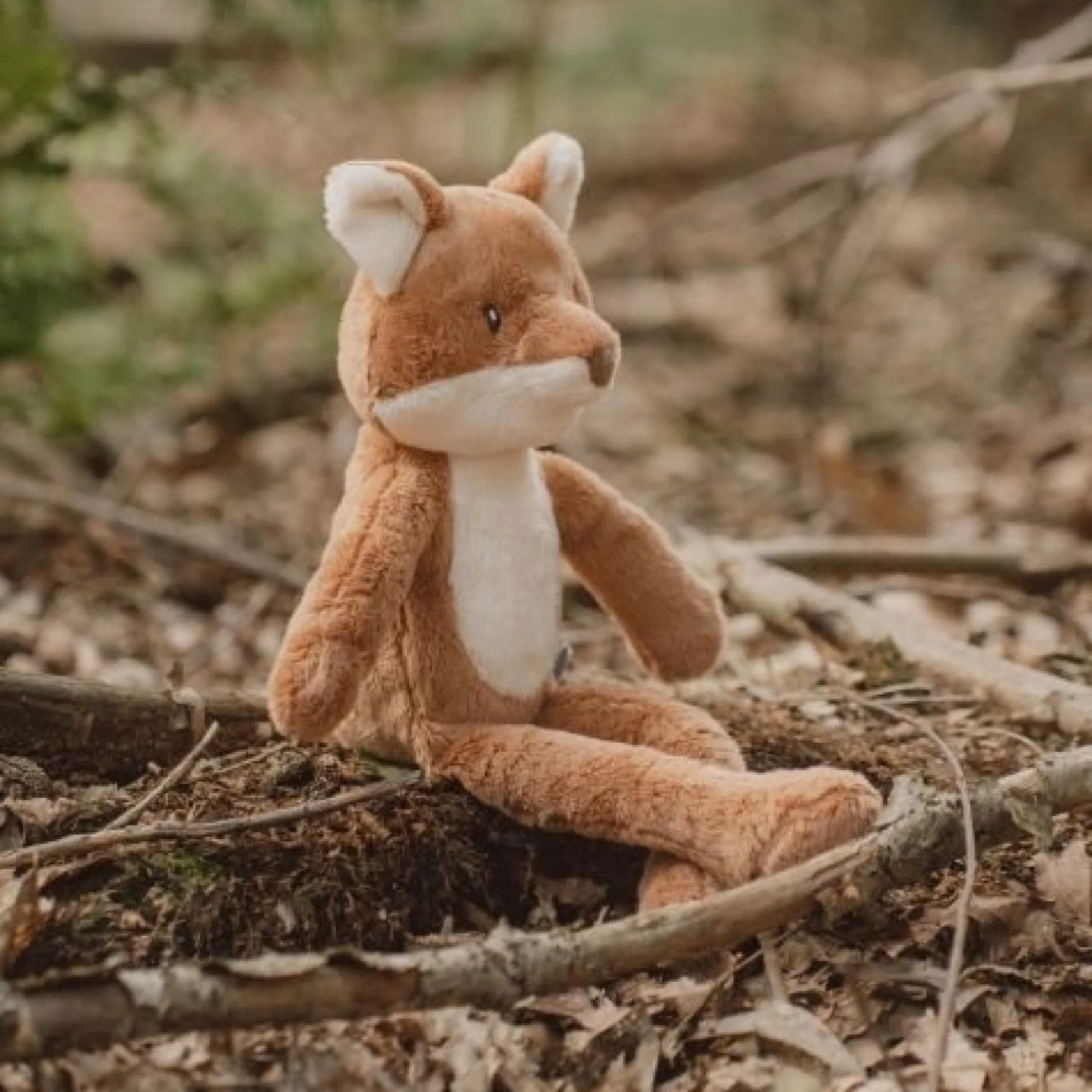 Forest Friends - Multicolored - Forest Friends