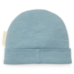 Hat - Blue - Forest Friends