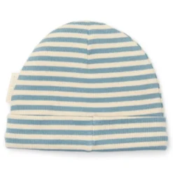 Hat - Blue - Forest Friends - Stripe