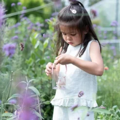 Insect jar - Pink - Fairy Garden
