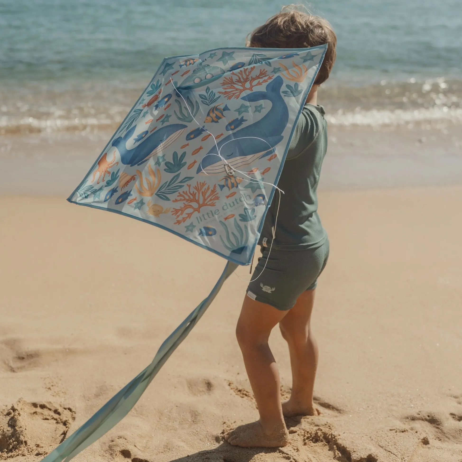 Kite - Blue - Ocean World