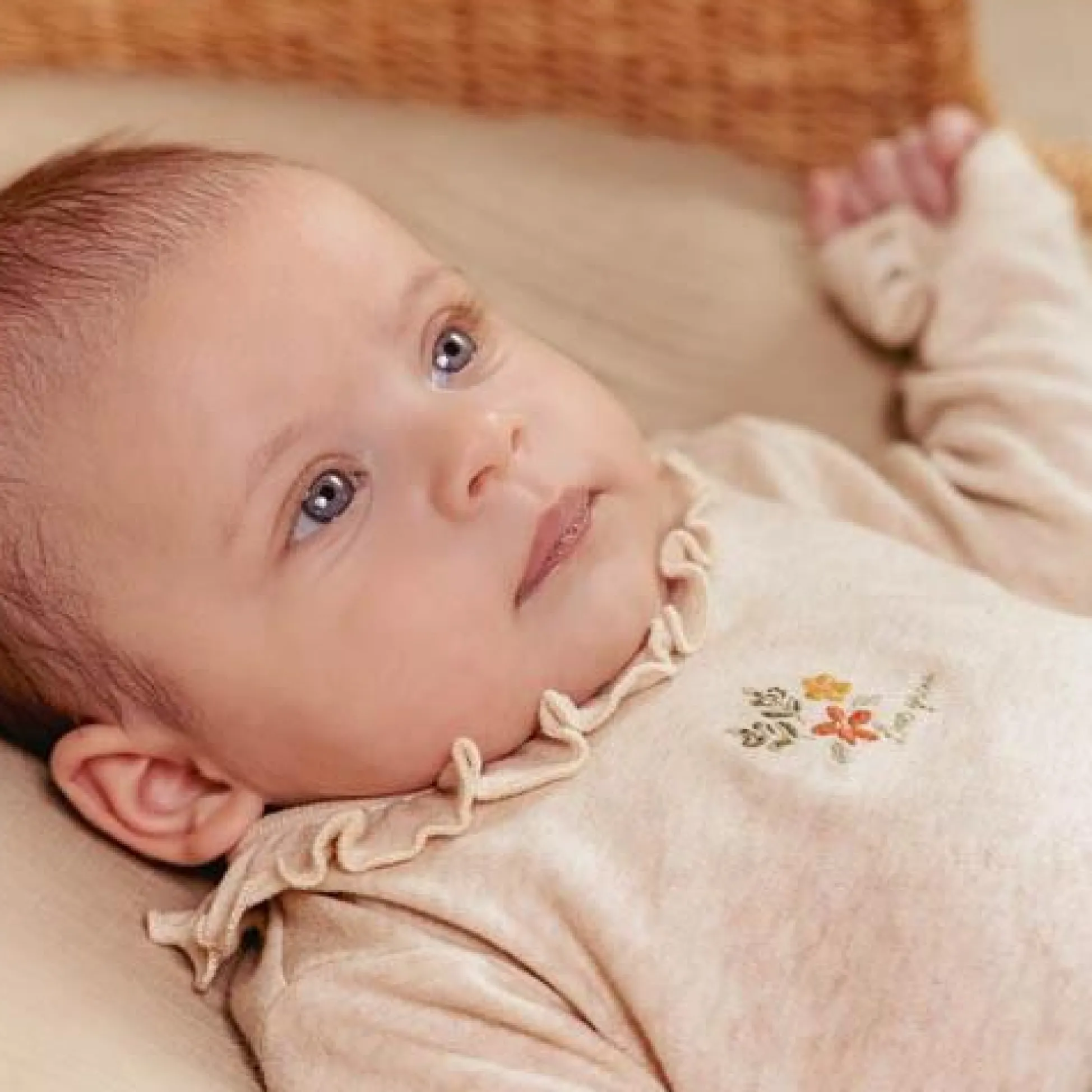 Long sleeve romper - Sand - Little Farm - Print