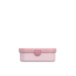 Lunchbox Fairy Garden