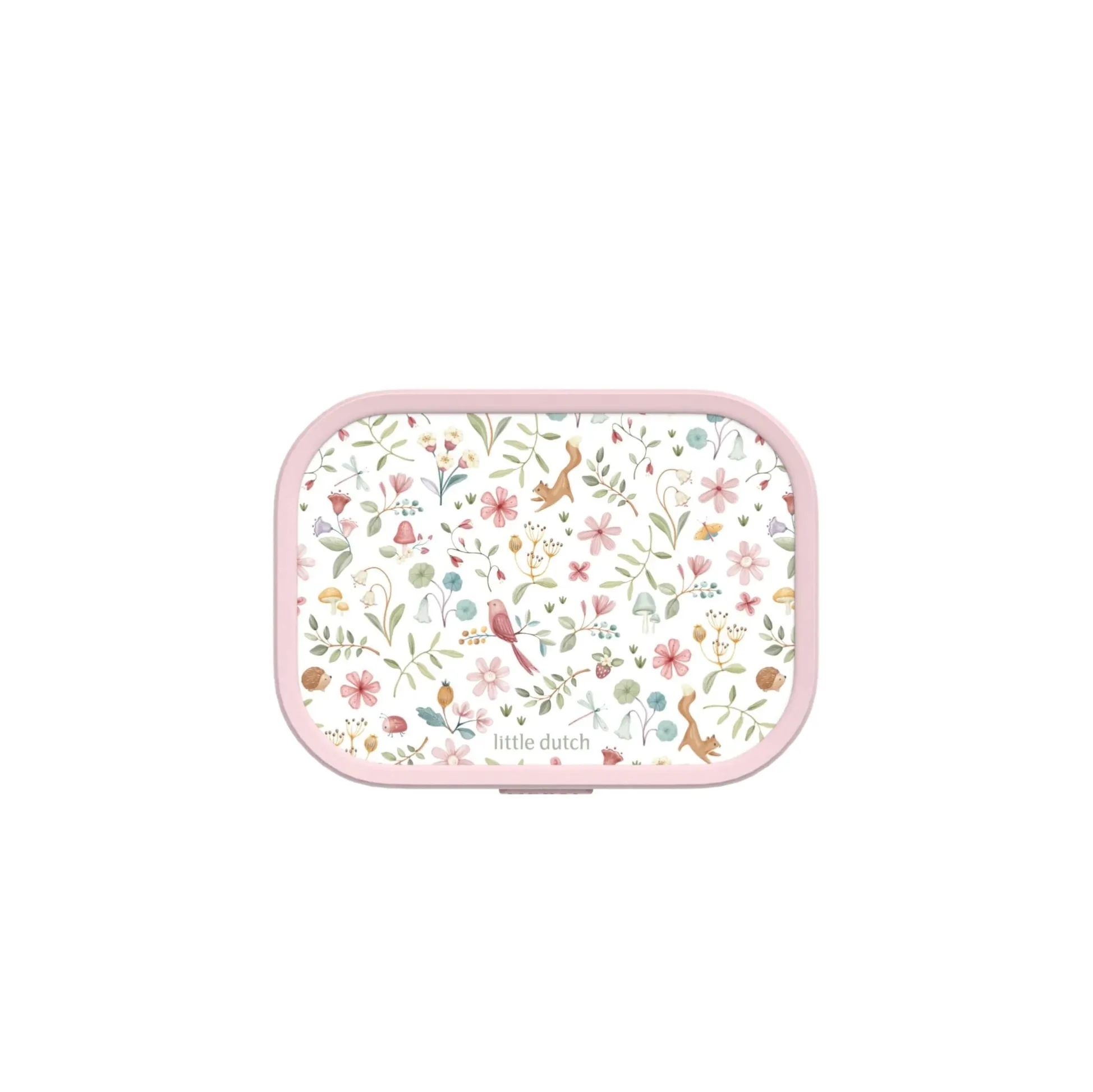 Lunchbox Fairy Wonders