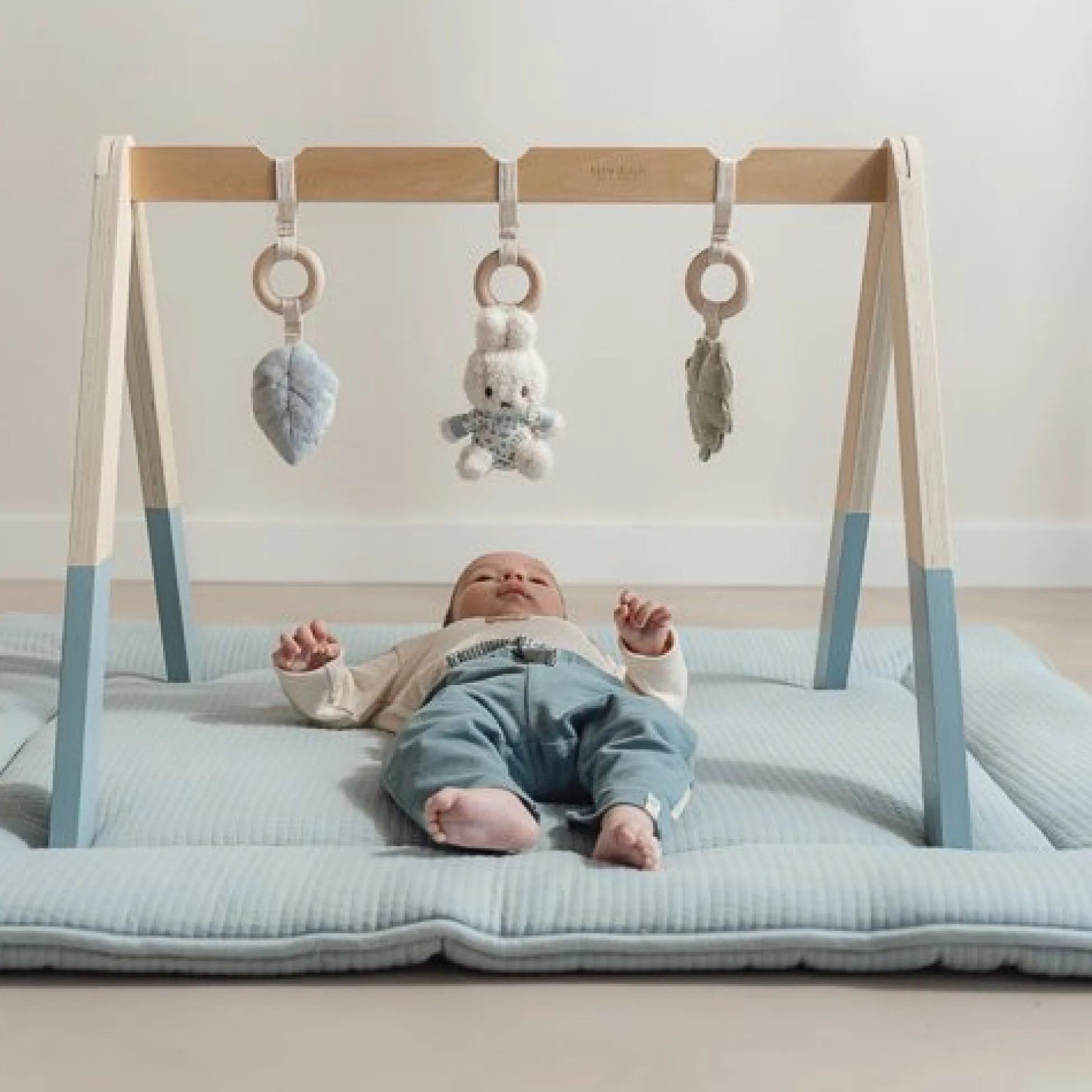 miffy baby gym - Blue - Lucky Leaves