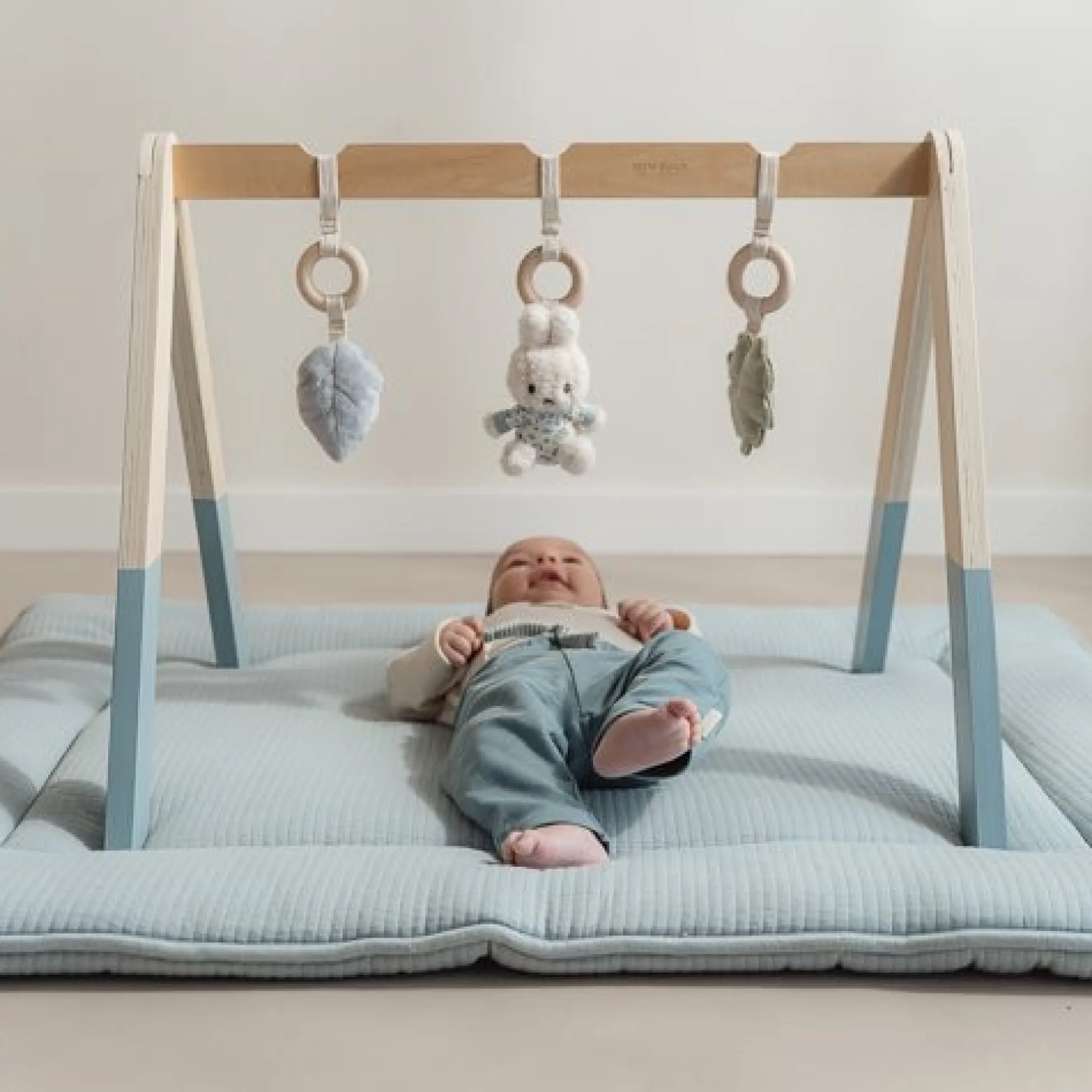 miffy baby gym - Blue - Lucky Leaves
