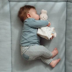 miffy cuddle cloth - Blue - Lucky Leaves