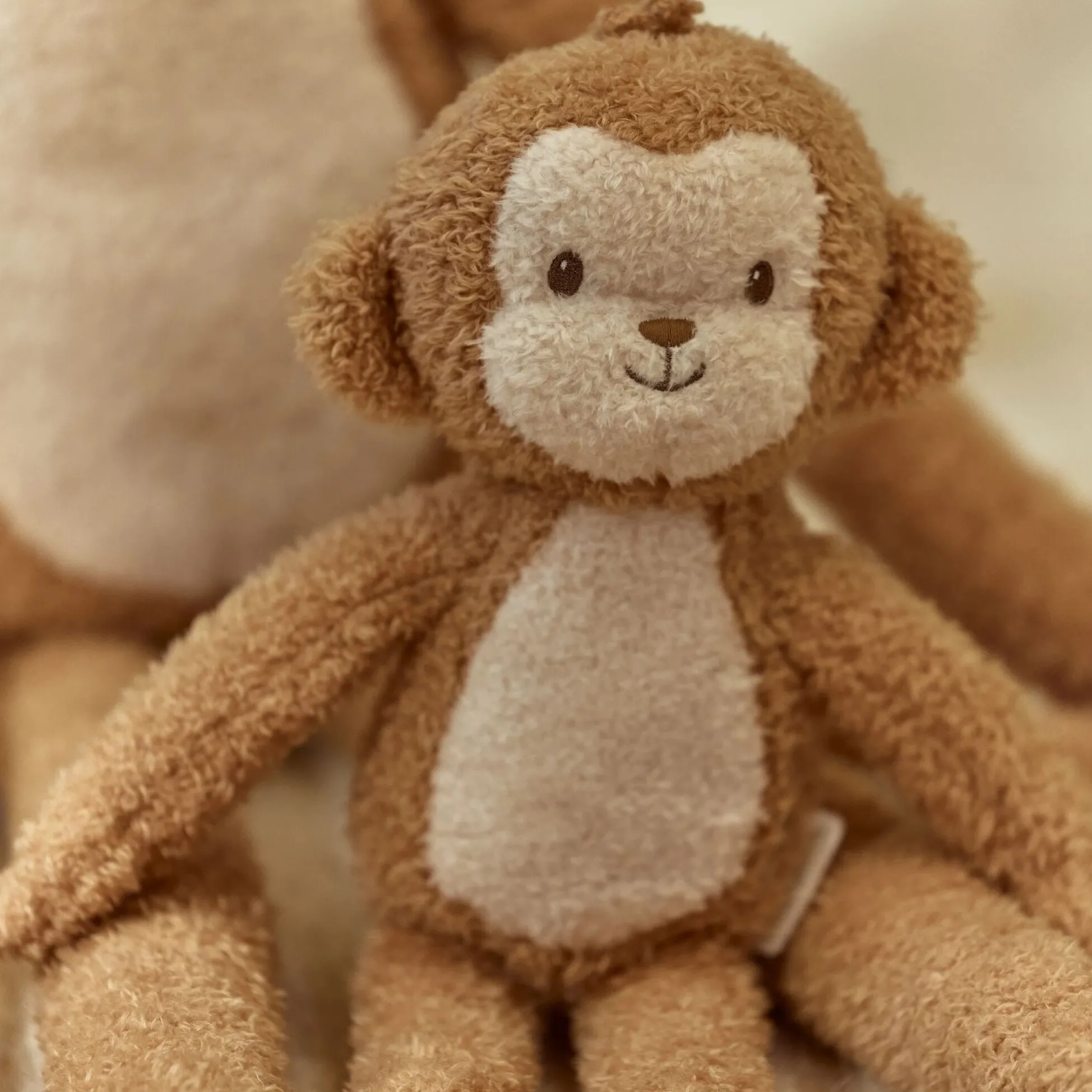 Monkey Cuddle - Safari Friends