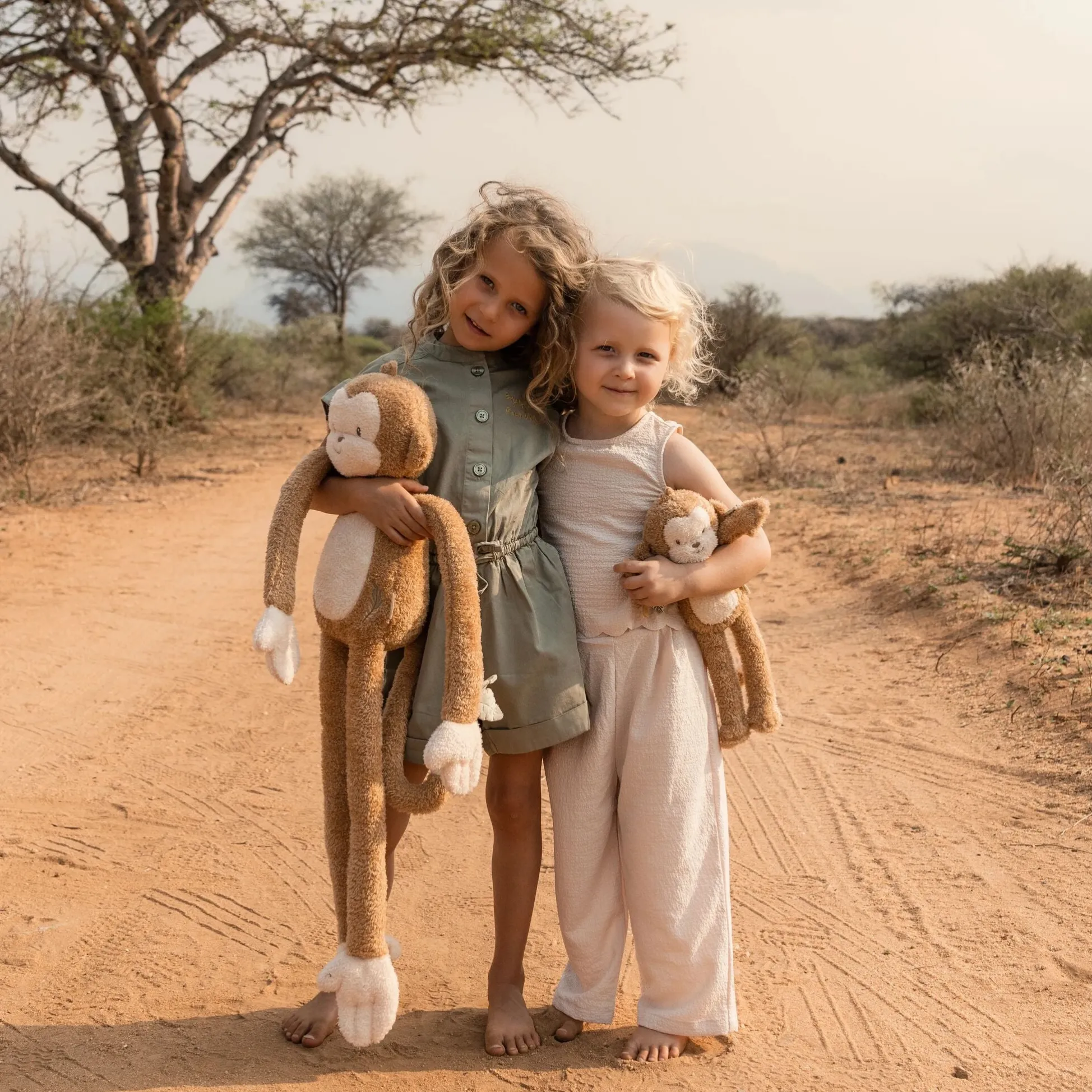 Monkey Cuddle - Safari Friends