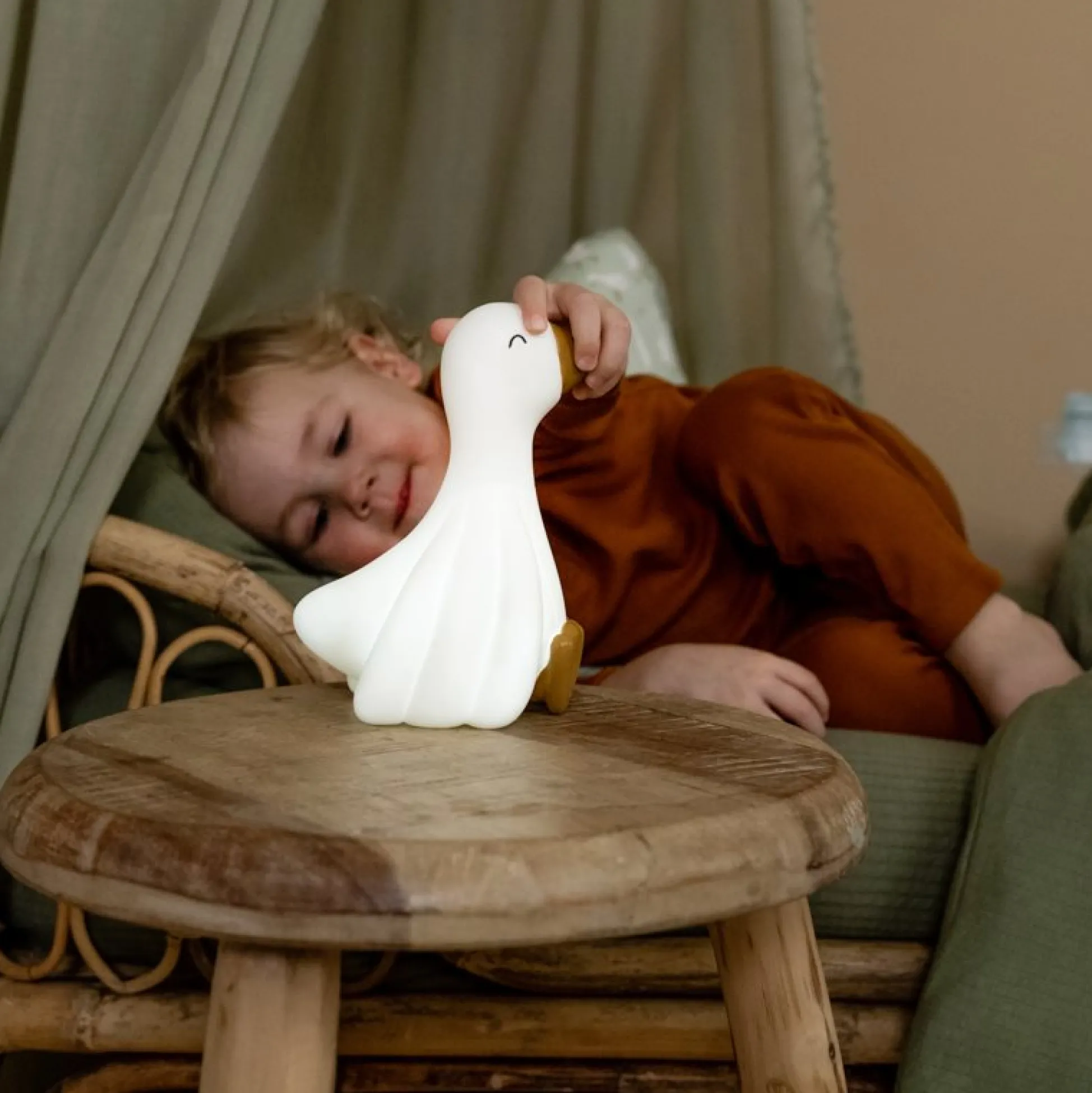 Nightlight Little Goose